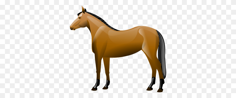 Animal Horse Icon, Colt Horse, Mammal, Adult, Female Free Transparent Png