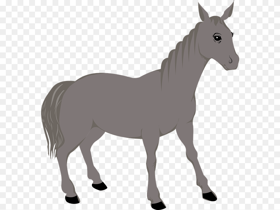 Animal Horse Icon Free Vector Graphic On Pixabay, Mammal Png