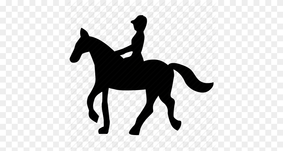 Animal Horse Riding Sport Icon, Silhouette, Colt Horse, Mammal Free Transparent Png