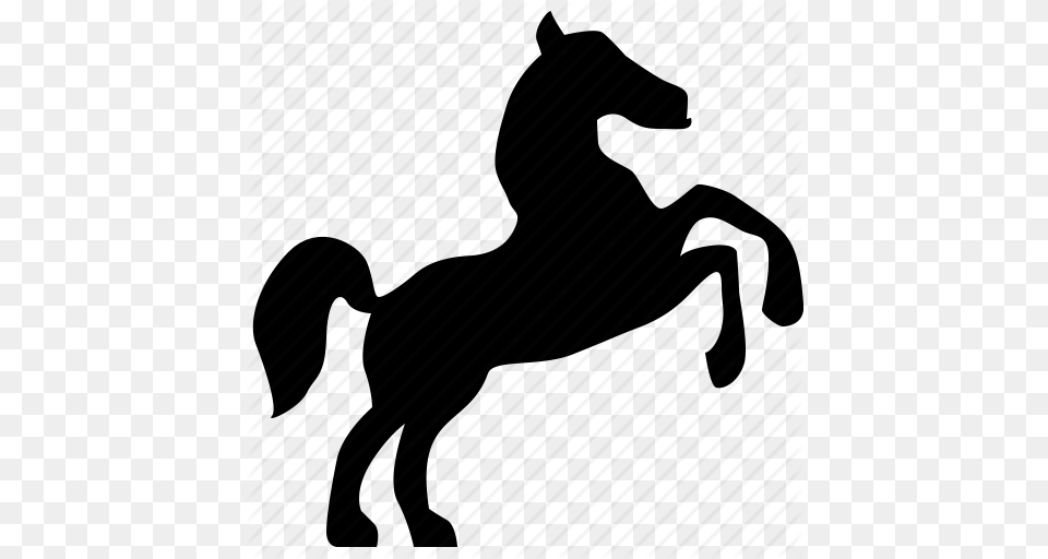 Animal Horse Riding Sport Wild Icon, Silhouette, Colt Horse, Mammal Png Image
