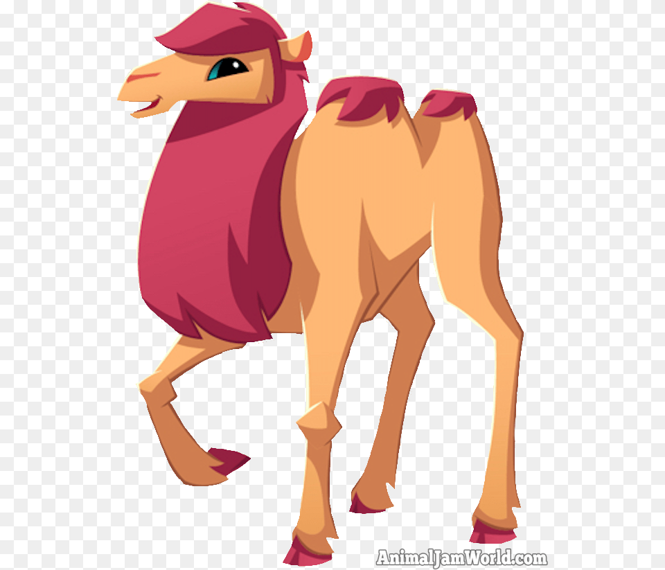 Animal Jam Camel, Mammal, Adult, Female, Person Free Png Download