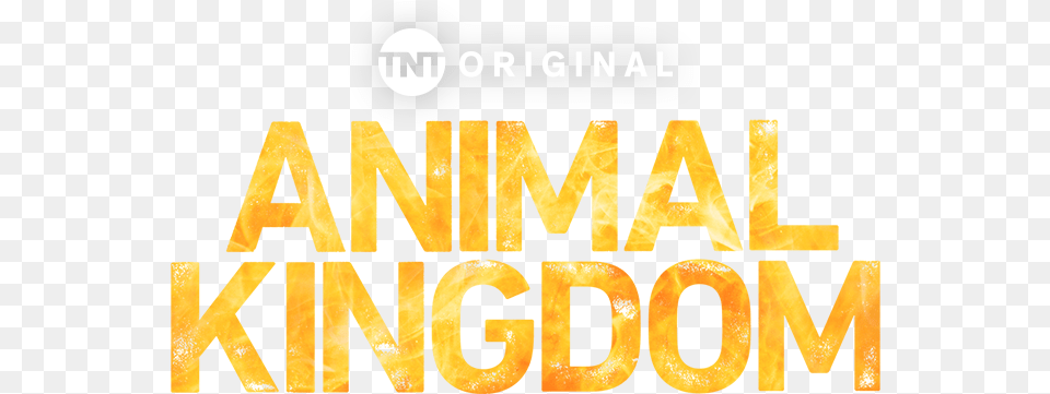 Animal Kingdom Png Image