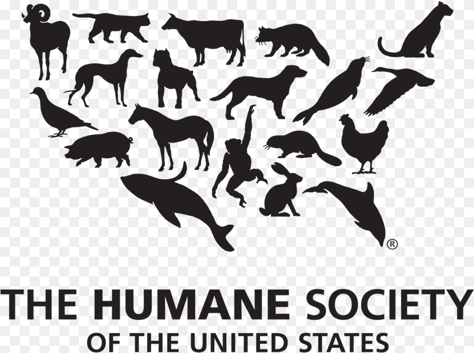Animal Kingdom Clipart The Humane Society The United Humane Society Of The United States, Mammal, Wildlife, Bear, Herd Free Transparent Png