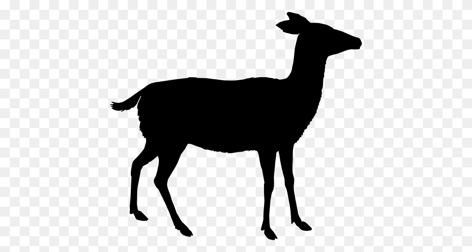Animal Kingdom Shape Shapes Deer Silhouette Animal, Gray Png Image