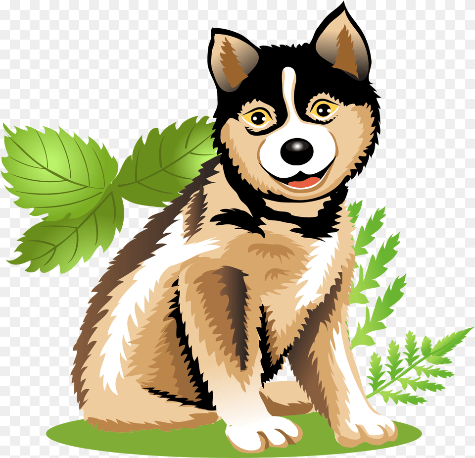 Animal Konfest, Mammal, Husky, Pet, Dog Png Image