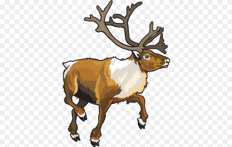 Animal Konfest, Deer, Elk, Mammal, Wildlife Free Transparent Png
