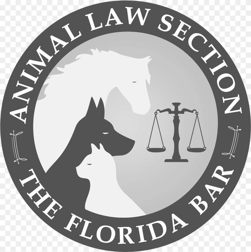 Animal Law In Florida 2018 Dvd Lights On A Zebra Crossing, Photography, Canine, Dog, Mammal Free Png Download