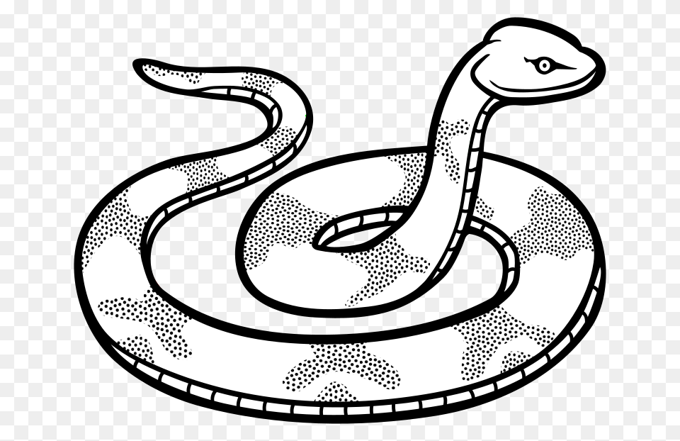 Animal Lineart Snake For Free Download, Reptile Png Image