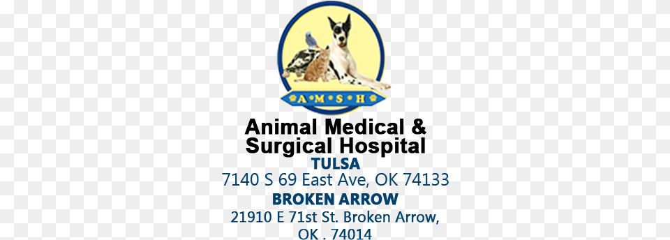 Animal Medical And Surgical Hospital, Advertisement, Poster, Canine, Dog Free Png Download