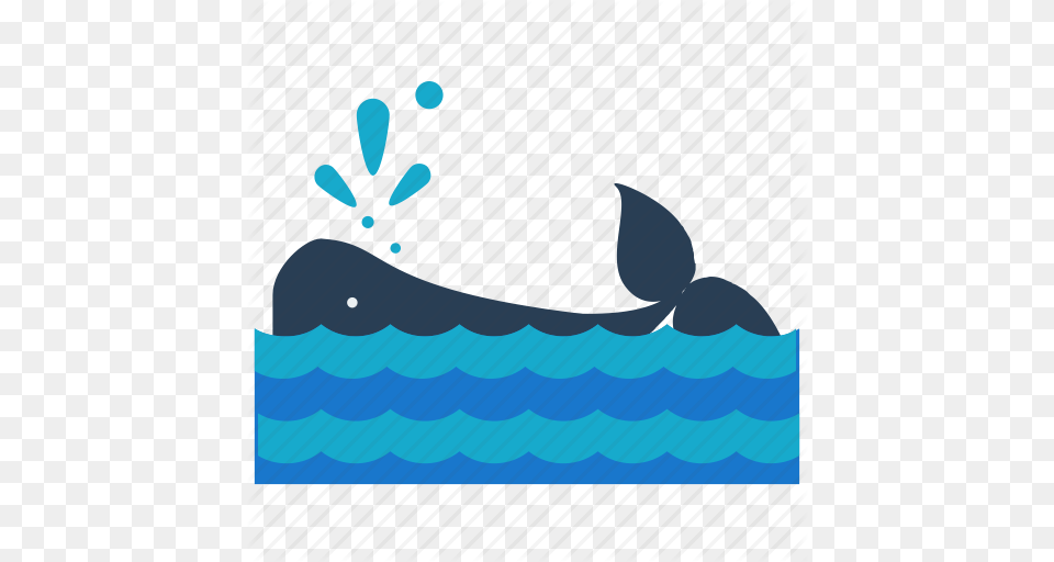Animal Nautical Ocean Sea Water Whale Icon, Leisure Activities, Person, Sport, Swimming Png