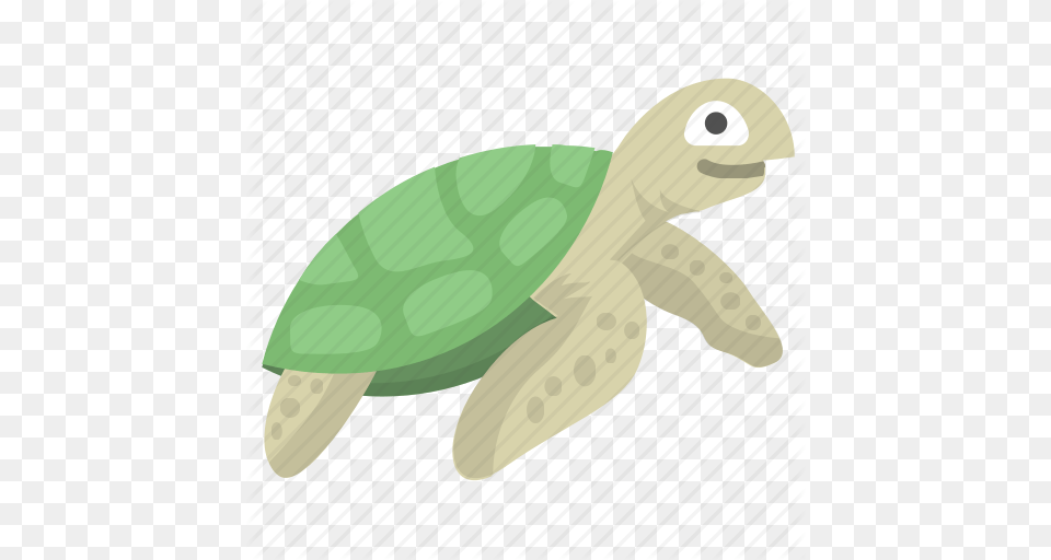 Animal Ocean Reptile Sea Tortoise Turtle Icon, Sea Life, Sea Turtle, Fish, Shark Free Transparent Png