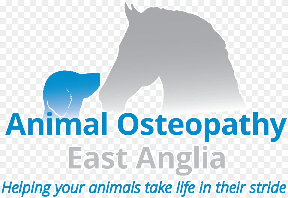 Animal Osteopathy East Anglia Animal Osteopathy East Anglia, Ice, Outdoors, Nature, Mammal Free Transparent Png