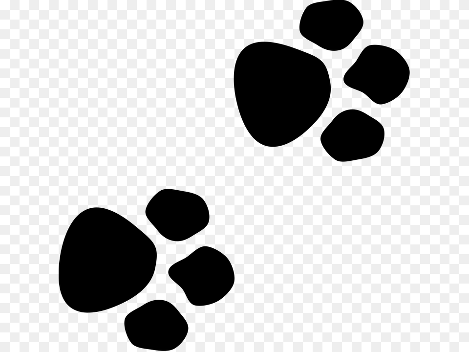 Animal Paws, Gray Free Png