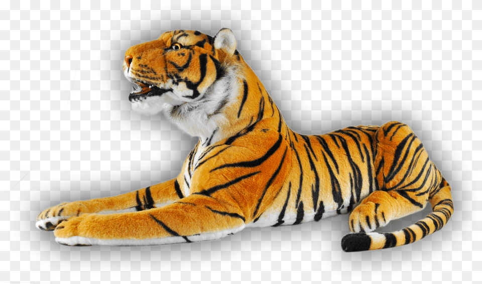 Animal Pel Cia Selvagem Fafa Importadora Descrio Siberian Tiger, Mammal, Wildlife Png