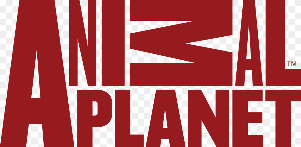 Animal Planet Animal Planet Red Logo, Maroon, Text, City Free Transparent Png