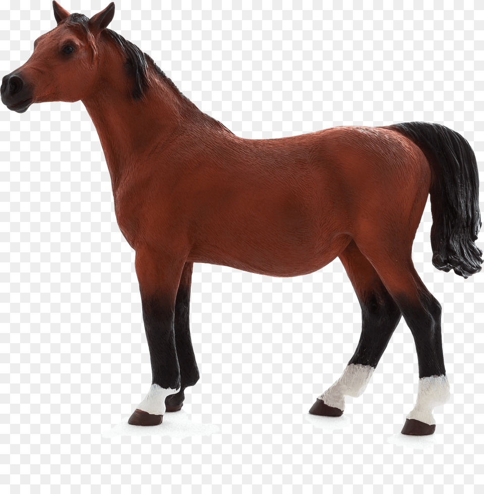 Animal Planet Arabian Mare In Foal, Colt Horse, Horse, Mammal Free Png Download