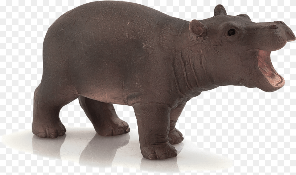 Animal Planet Baby Hippopotamus Mojo Hippo, Bear, Mammal, Wildlife Png