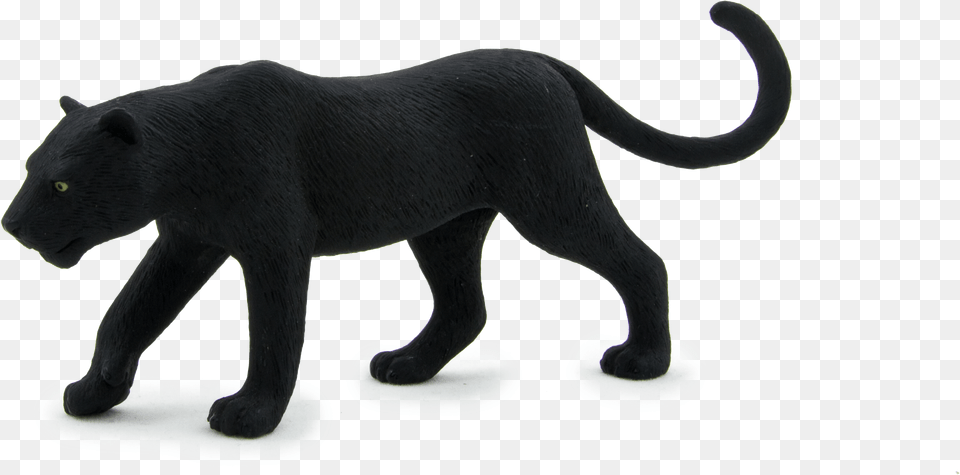 Animal Planet Black Panther, Bear, Mammal, Wildlife Png