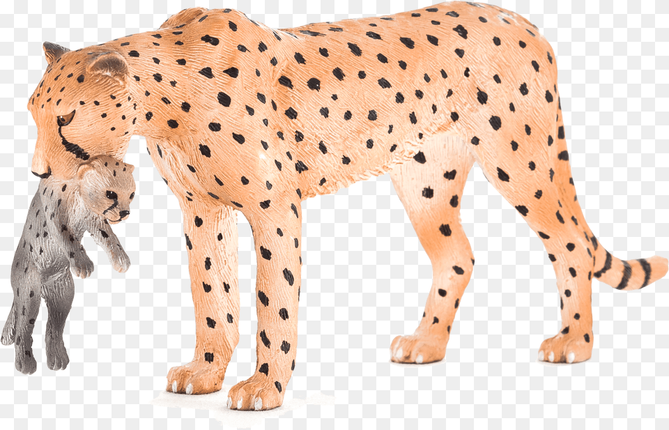 Animal Planet Cheetah Female With Cub, Mammal, Wildlife, Bear Png Image