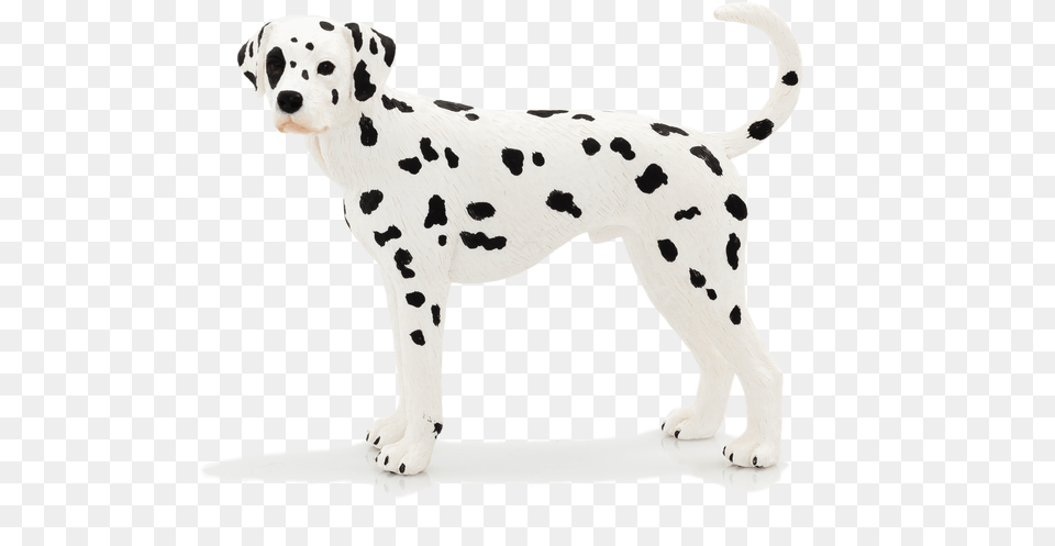 Animal Planet Dalmatian, Canine, Mammal, Pet, Dog Png Image