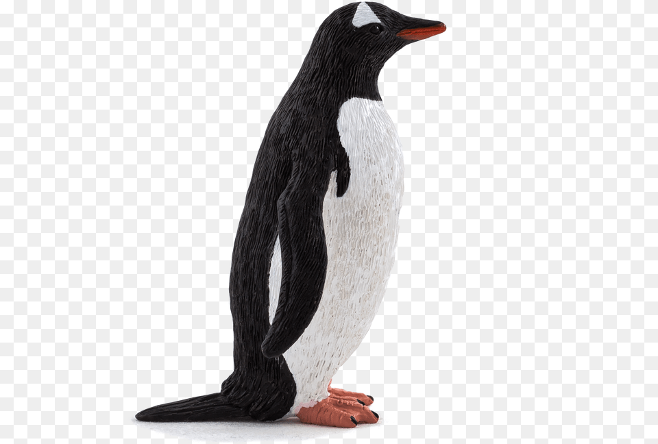 Animal Planet Gentoo Penguin, Bird Free Png