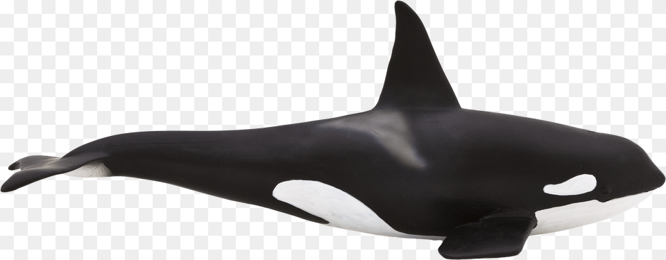 Animal Planet Large Orca Elephanta Elephanta Balna Figura, Sea Life, Fish, Shark, Mammal Free Png Download