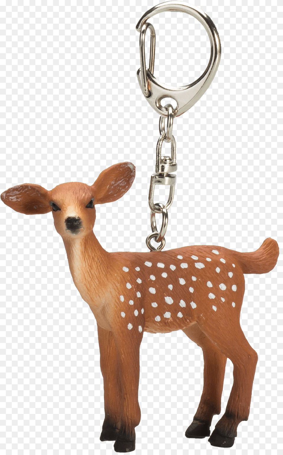 Animal Planet Nglering Ddyr, Deer, Mammal, Wildlife, Antelope Free Png Download