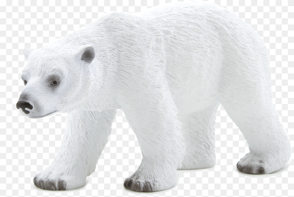 Animal Planet Polar Bear Elephanta Elephanta, Mammal, Wildlife, Polar Bear Png
