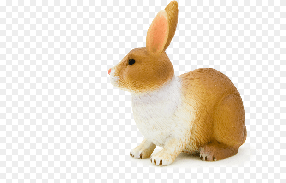 Animal Planet Rabbit Brown And White Full Size, Mammal Free Transparent Png