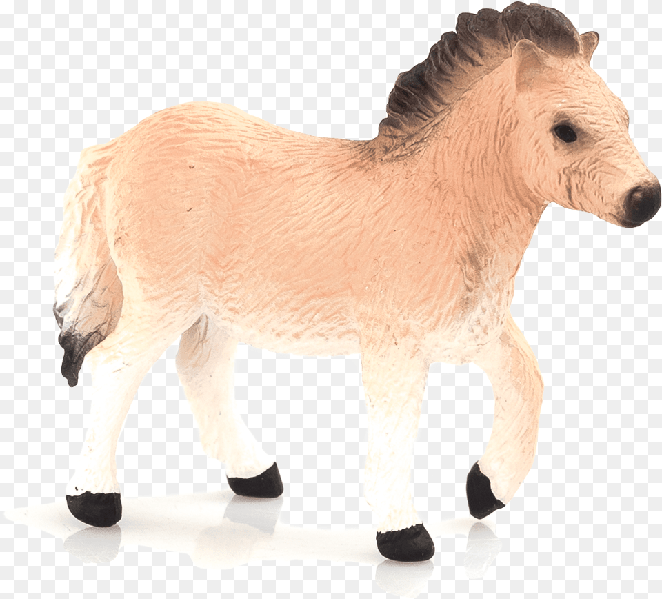 Animal Planet Shetland Pony Foal, Adult, Female, Person, Woman Png