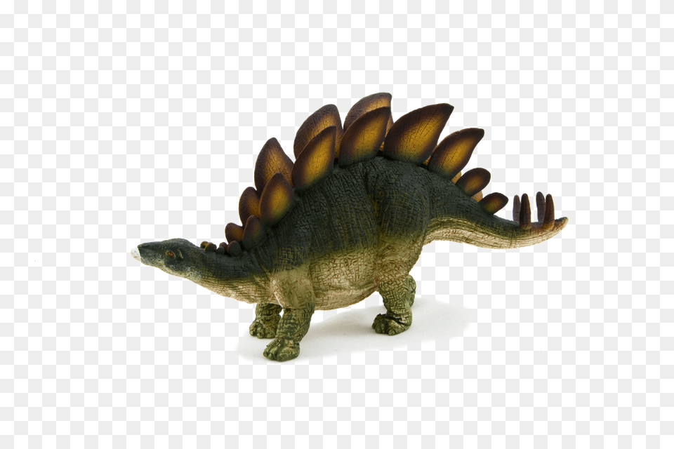 Animal Planet Stegosaurus Png