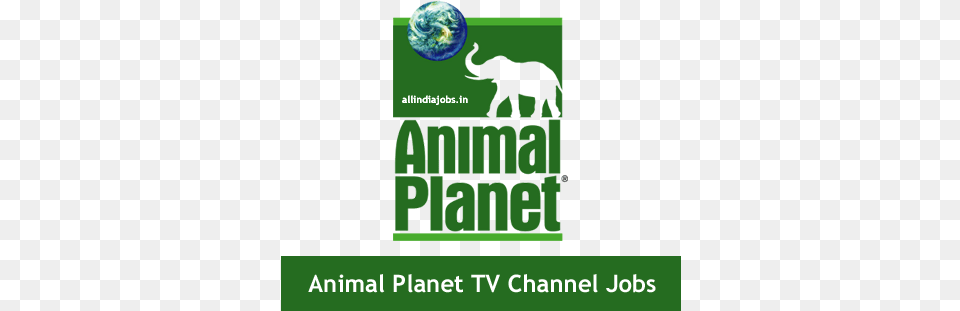 Animal Planet Tv Channel Jobs 2017 Animal Planet, Elephant, Mammal, Wildlife, Astronomy Free Transparent Png