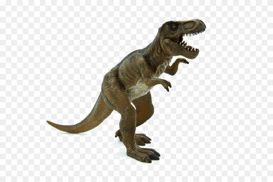 Animal Planet Tyrannosaurus Rex, Dinosaur, Reptile, T-rex Free Png
