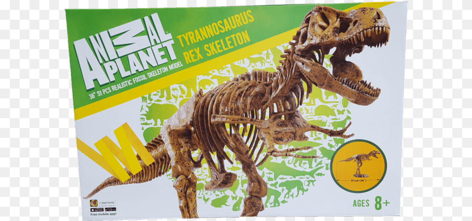 Animal Planet Tyrannosaurus Rex 36u201d Skeleton Fossil Model Animal Planet, Dinosaur, Reptile, T-rex Free Png Download