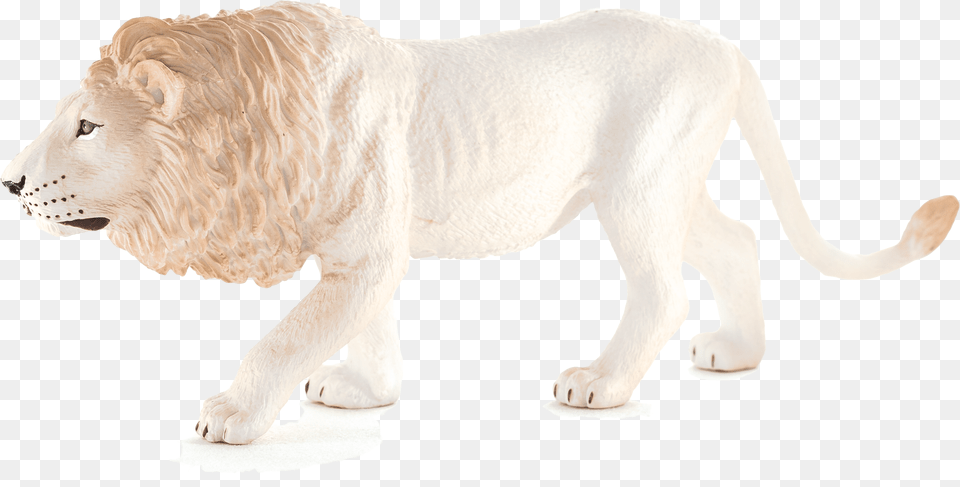 Animal Planet White Male Lion Full Size Download Logo, Mammal, Wildlife, Bear Png