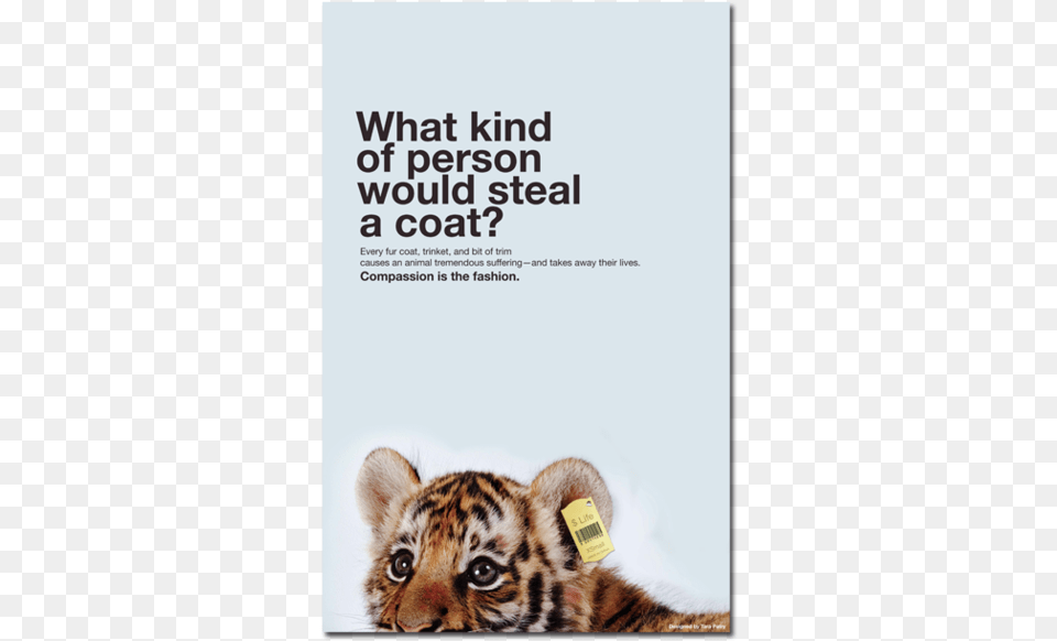 Animal Posters Stop Animal Cruelty White Cats Animal Animal Rights Poster Ideas, Mammal, Tiger, Wildlife, Advertisement Png Image