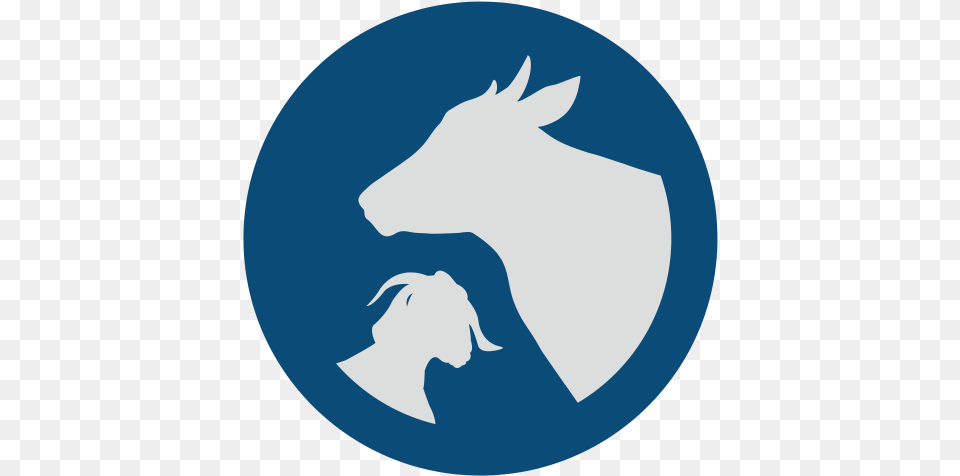 Animal Production Animal Biotechnology Icon, Logo, Goat, Livestock, Mammal Free Png Download