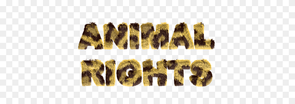 Animal Rights Text, Logo, Dinosaur, Reptile Free Png