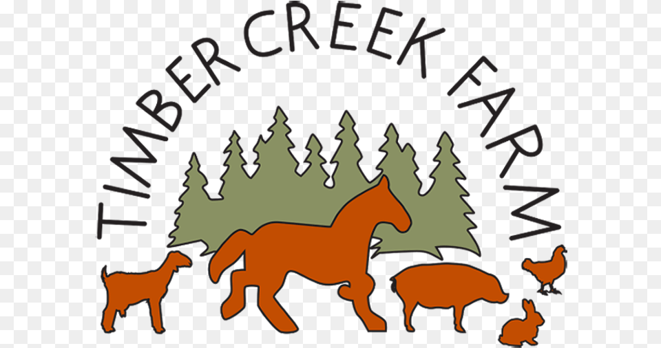 Animal Science Clipart Timber Creek Farms, Mammal, Horse, Colt Horse, Herd Png