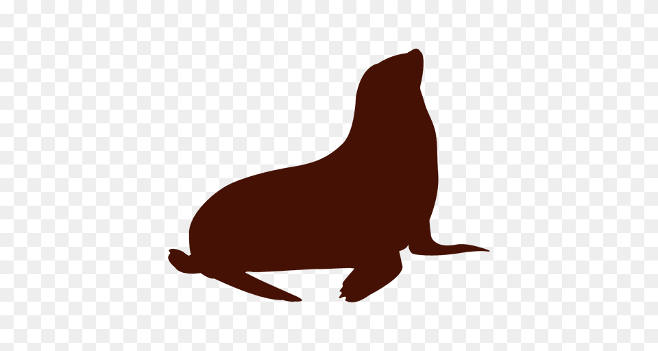 Animal Sealion Silhouette, Mammal, Sea Life, Sea Lion, Fish Free Transparent Png