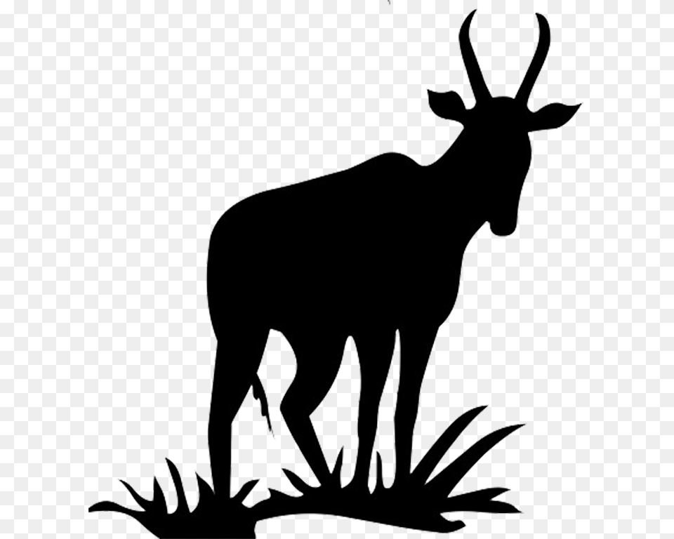 Animal Silhouette Silhouette Clip Art, Mammal, Moose, Wildlife, Dinosaur Png Image