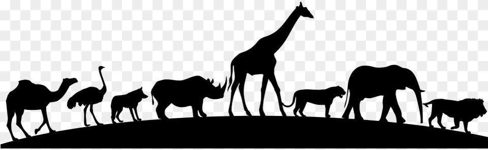 Animal Silhouettes In A Line, Gray Png Image