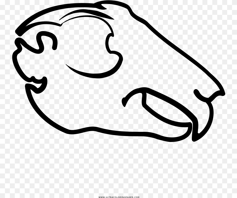 Animal Skull Coloring, Gray Png Image