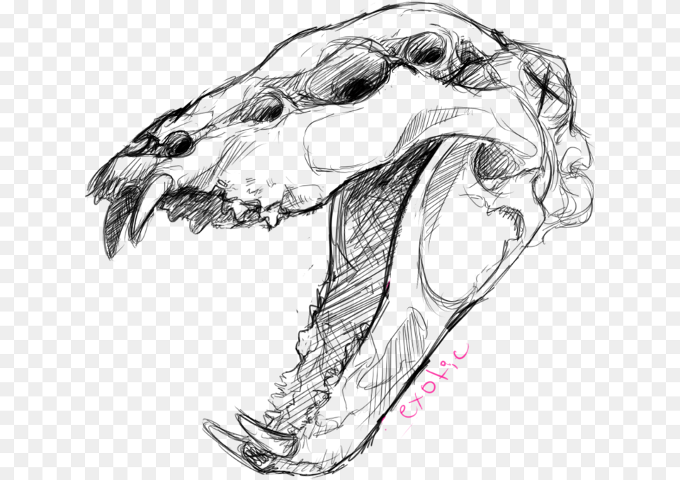 Animal Skull Drawing At Getdrawings Drawings Of Animal Skulls, Purple, Text, Handwriting Free Png