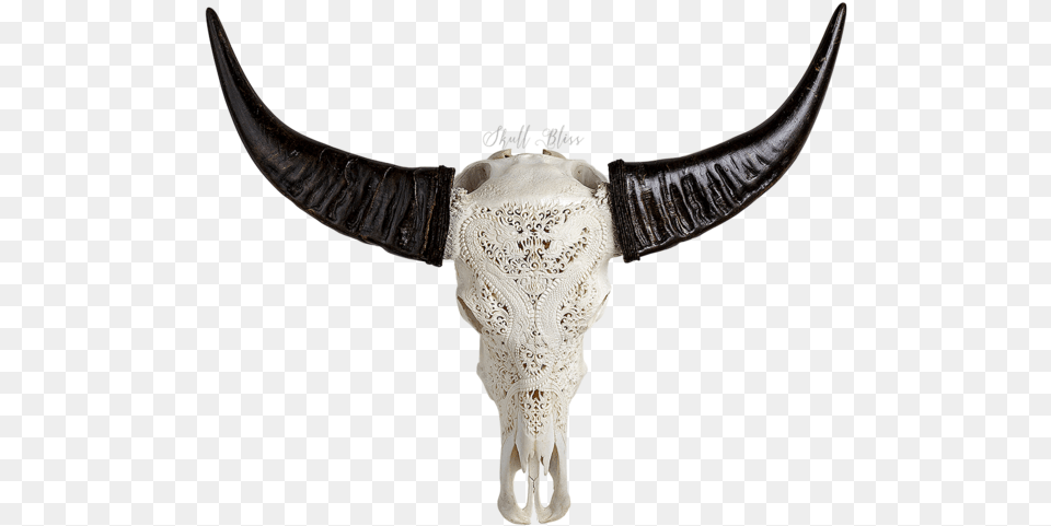 Animal Skulls Horn Bone Head Transparent Animal Skull, Accessories, Necklace, Jewelry, Bull Png Image