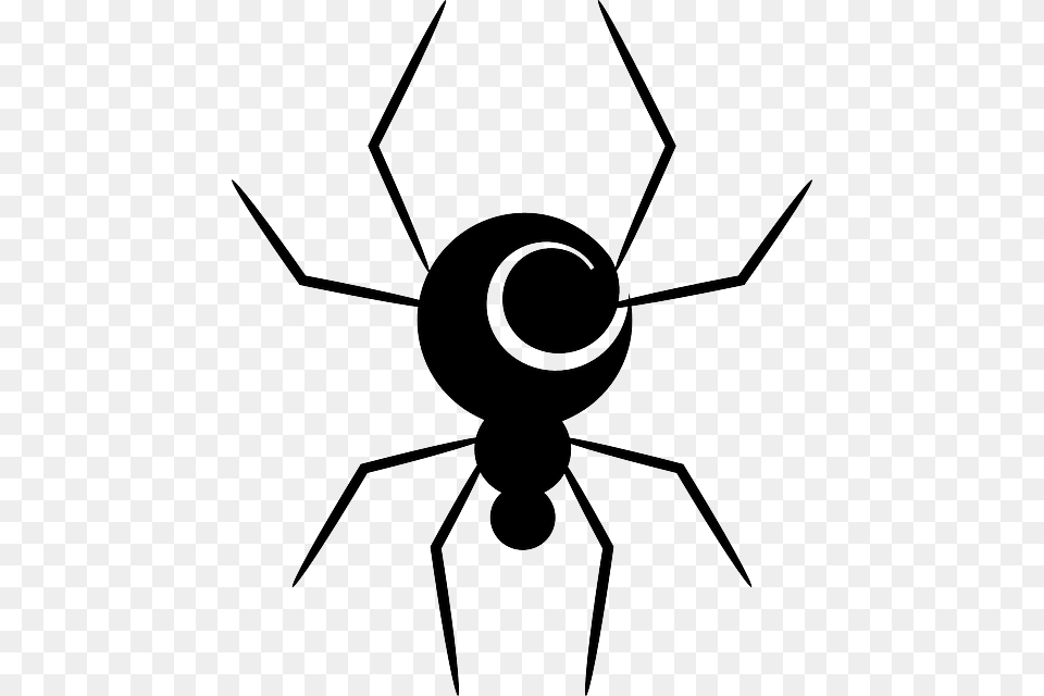 Animal Spider Spiral Swirl Insect Animal Simple Pictures Of Spiders, Appliance, Ceiling Fan, Device, Electrical Device Free Png