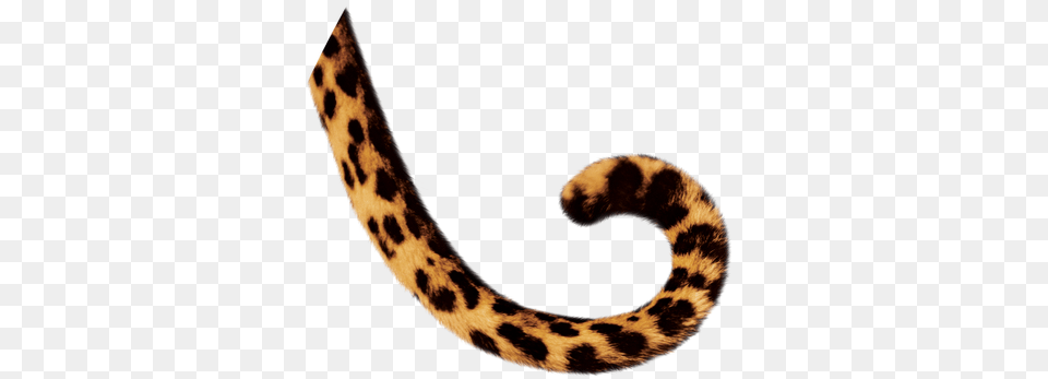 Animal Tail Transparent Animal Tail Images, Mammal, Panther, Wildlife Png