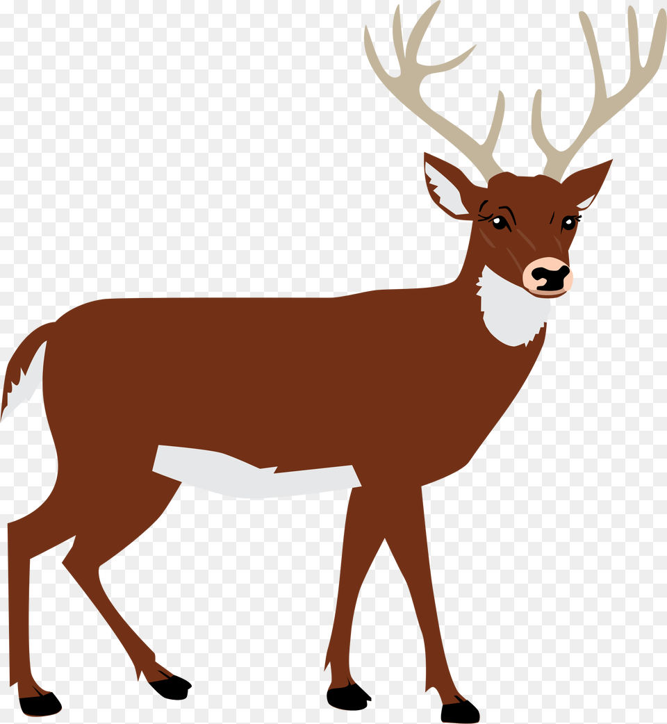 Animal Vector Transparent Vectorpng Deer Silhouette Transparent Background, Mammal, Wildlife, Elk, Cattle Free Png Download