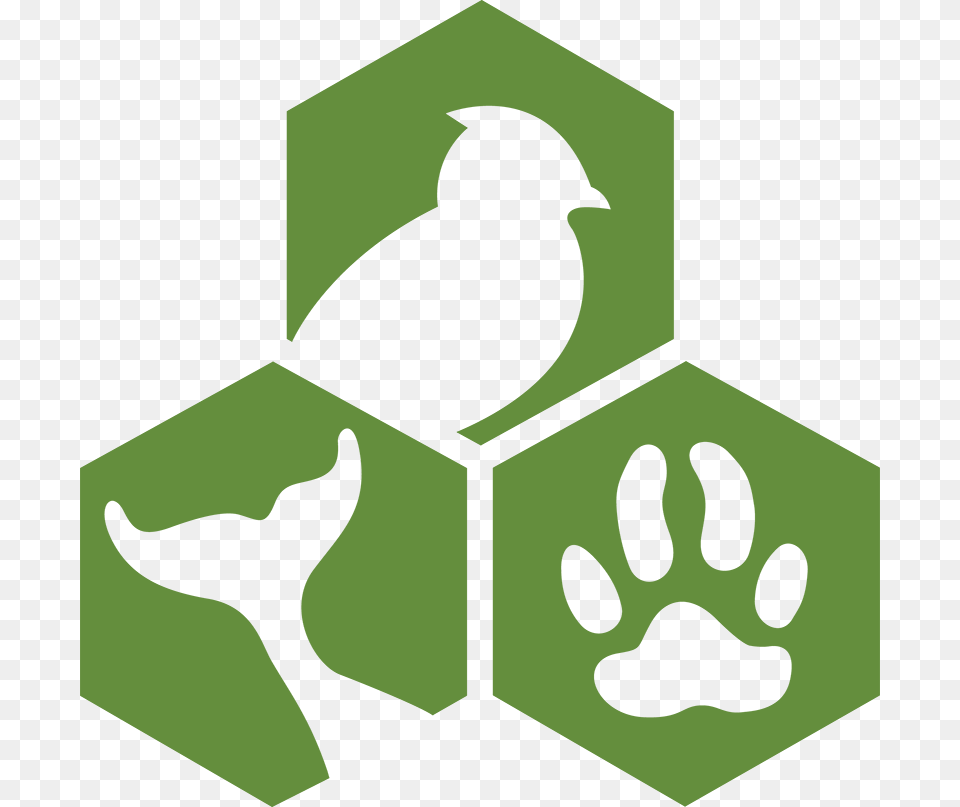Animal Welfare Institute, Symbol, Logo, First Aid, Cross Png