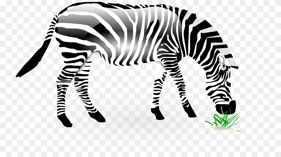 Animal Zebra Wild Wildlife Nature Zoo Africa, Mammal Free Transparent Png